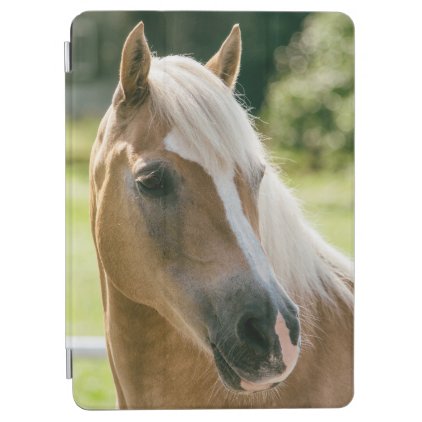 Beautiful haflinger horse portrait iPad air cover