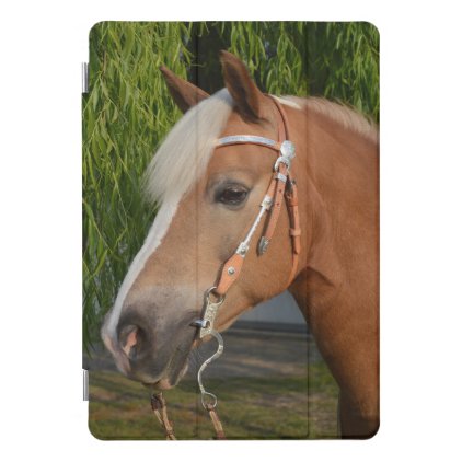 Beautiful haflinger horse portrait iPad pro cover