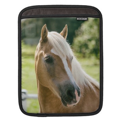 Beautiful haflinger horse portrait iPad sleeve