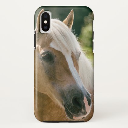 Beautiful haflinger horse portrait iPhone x case