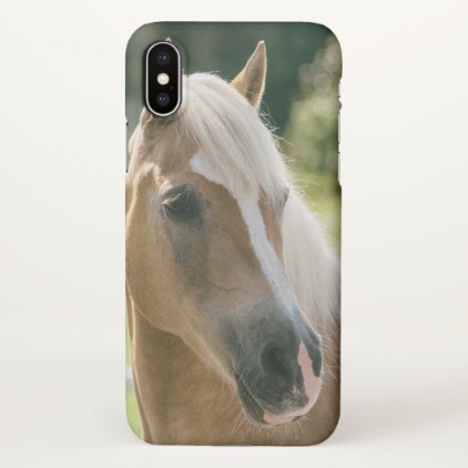 Beautiful haflinger horse portrait iPhone x case