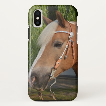 Beautiful haflinger horse portrait iPhone x case