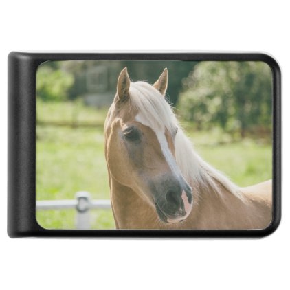 Beautiful haflinger horse portrait power bank