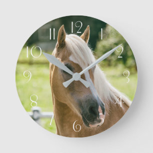 Beautiful haflinger horse portrait round clock