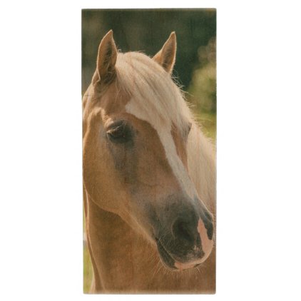 Beautiful haflinger horse portrait wood flash drive