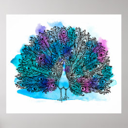 Beautiful Hand drawn Peacock bird consist many det Poster