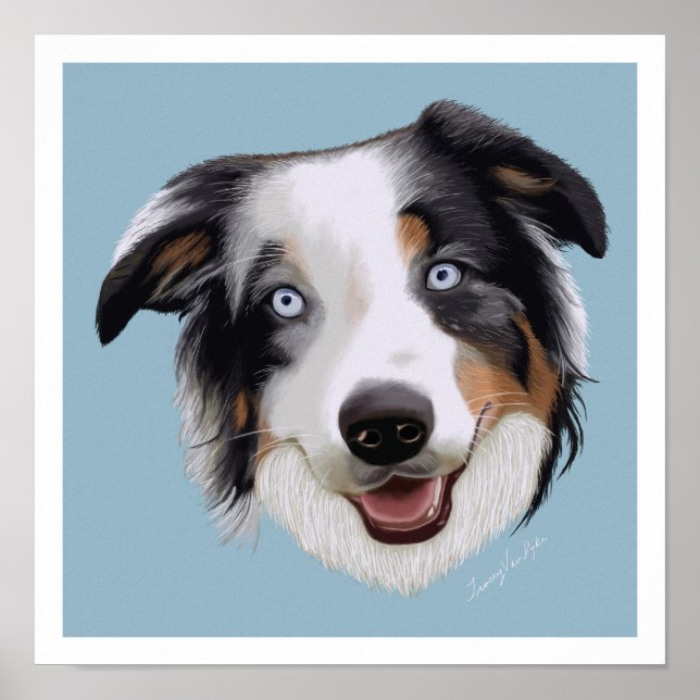 Beautiful Hand Painted Australian Shepherd Poster (Front)