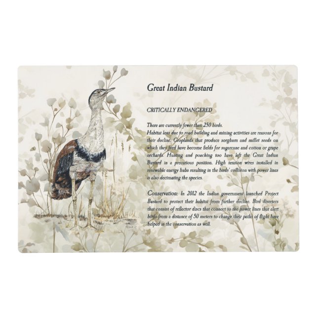 Beautiful Hand-Painted Great Indian Bustard Bird Placemat (Front)