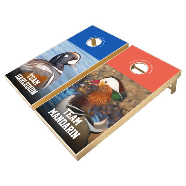 Beautiful Harlequin and Mandarin Ducks Cornhole Set (Angled)
