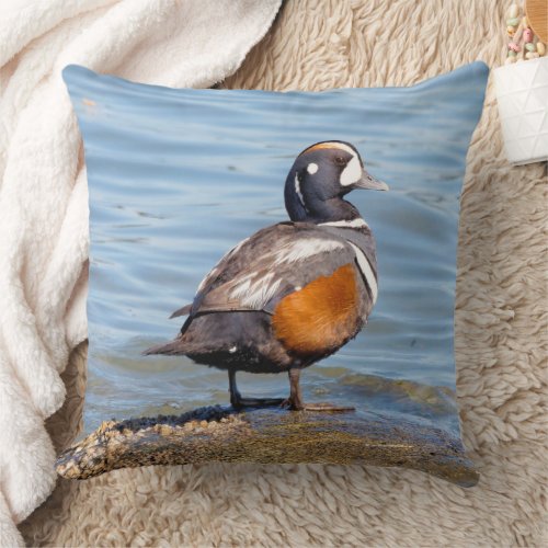 Beautiful Harlequin Duck on Beach Shoreline Throw Pillow