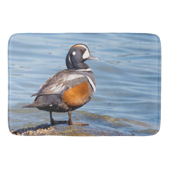 Beautiful Harlequin Duck on the Rock Bathroom Mat (Front)