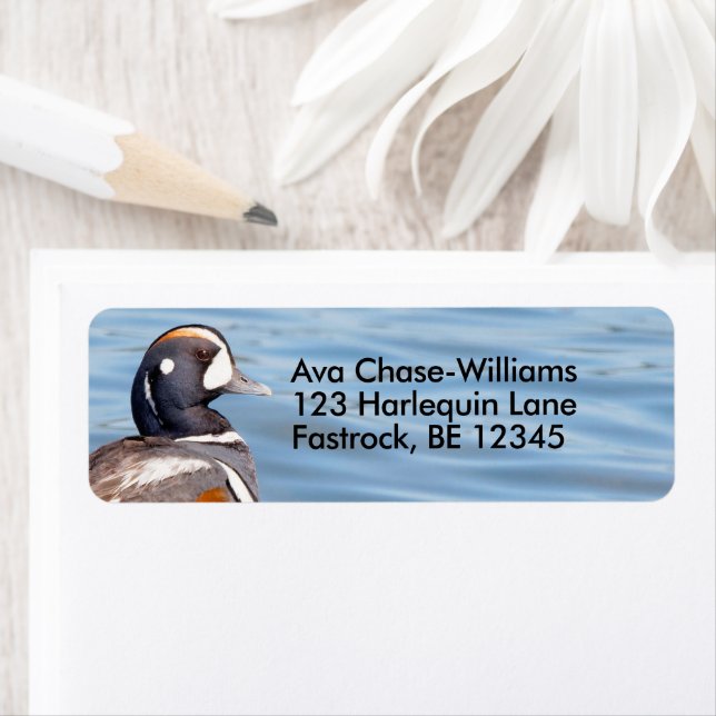 Beautiful Harlequin Duck on the Rock Label (Insitu)