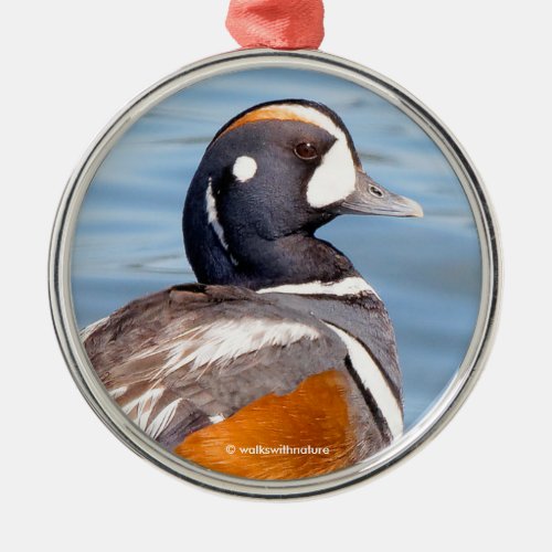 Beautiful Harlequin Duck on the Rock Metal Ornament