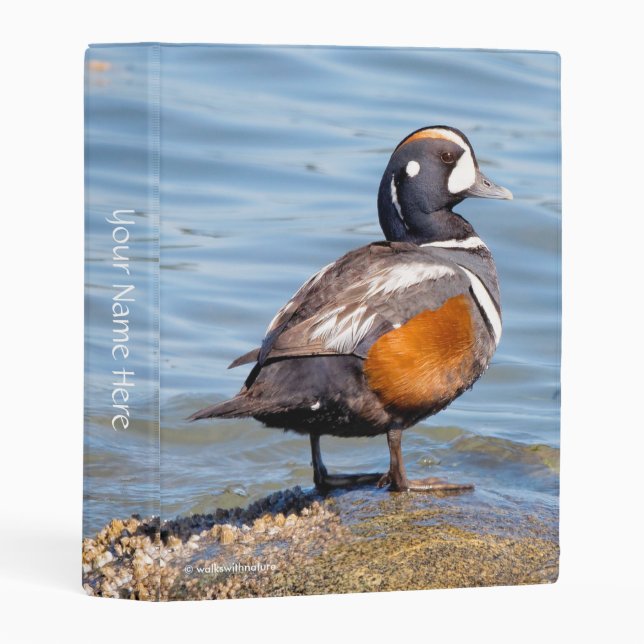 Beautiful Harlequin Duck on the Rock Mini Binder (Front/Spine)