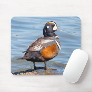 Beautiful Harlequin Duck on the Rock Mouse Pad