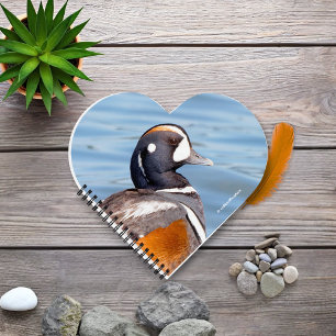 Beautiful Harlequin Duck on the Rock Notebook