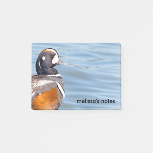 Beautiful Harlequin Duck on the Rock Post_it Notes