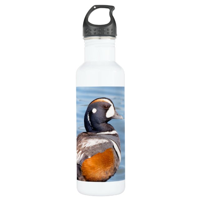 Beautiful Harlequin Duck on the Rock Stainless Steel Water Bottle (Front)