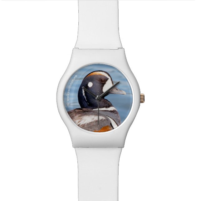 Beautiful Harlequin Duck on the Rock Wristwatch (Close Up)