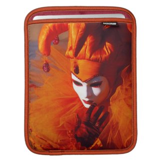 Beautiful Harlequin iPad Sleeves