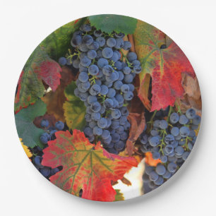 Beautiful Harvest Wine Vineyard Paper Plates