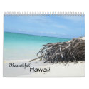 Beautiful Hawaii Calendar calendar