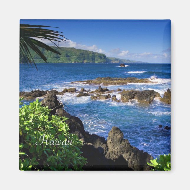 Beautiful Hawaii (labeled) Magnet (Front)