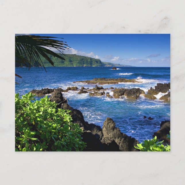 Beautiful Hawaii, scenic view, Postcard (Front)