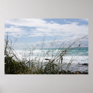 Beautiful Hawaiian Ocean Poster