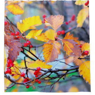 Beautiful hawthorn berries in autumn shower curtain