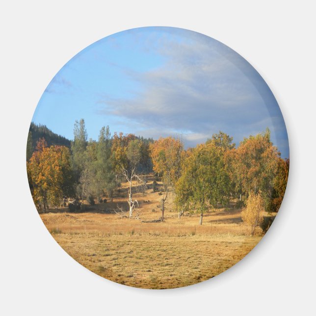 Beautiful Hayfork, California.... Magnet (Front)