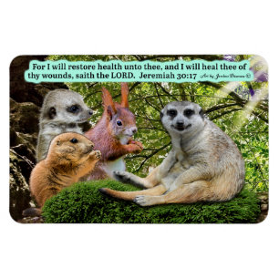 Beautiful Healing Scripture Magnet Jeremiah 30:17