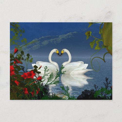 Beautiful heart swans red flowers 1 postcard