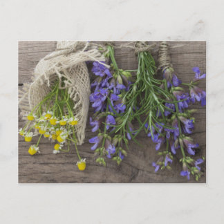 beautiful herbal background postcard