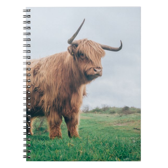 BEAUTIFUL HIGHLAND CATTLE NOTEBOOK (Front)