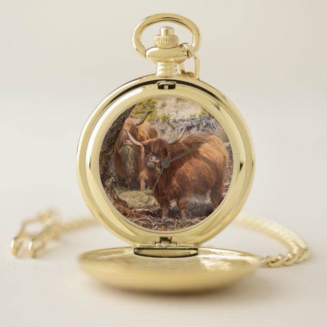 Beautiful Highland farm cows  Pocket Watch (Inside)