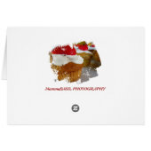 Beautiful Holiday Greeting Card! (Back Horizontal)