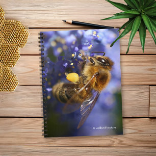 Beautiful Honeybee on the California Lilac Notebook