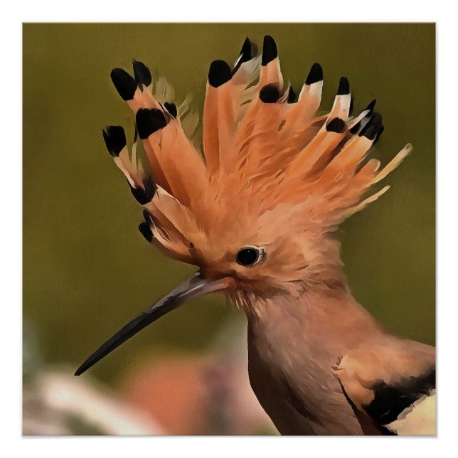 Beautiful Hoopoe Bird With Crown Of Feathers Poster (Front)