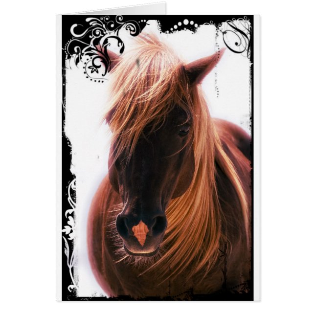 Beautiful Horse (Front)