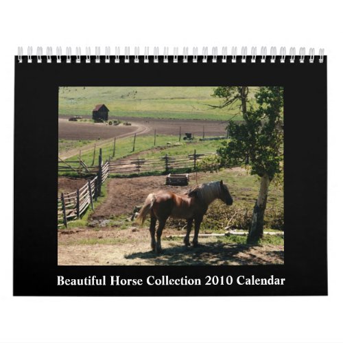 Beautiful Horse 2010 Calendar
