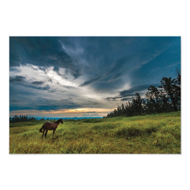 Beautiful horse and landscape print (Front)
