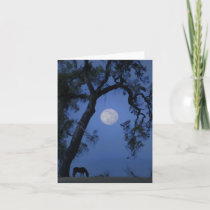 Beautiful Horse and Moon Blank Note Card