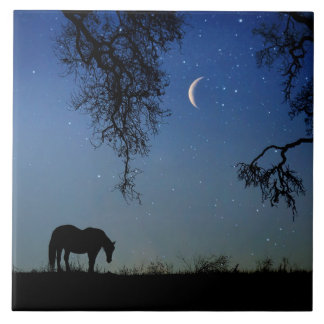 Beautiful Horse and Moon Ceramic Tile