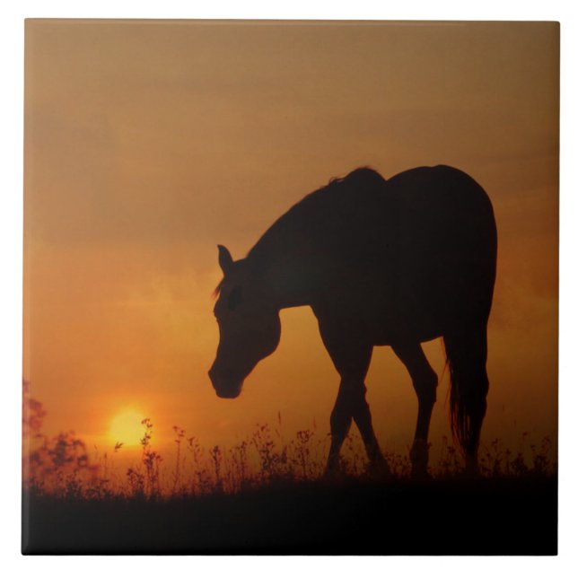 Beautiful Horse and Southwestern Sunset Ceramic Tile (Front)