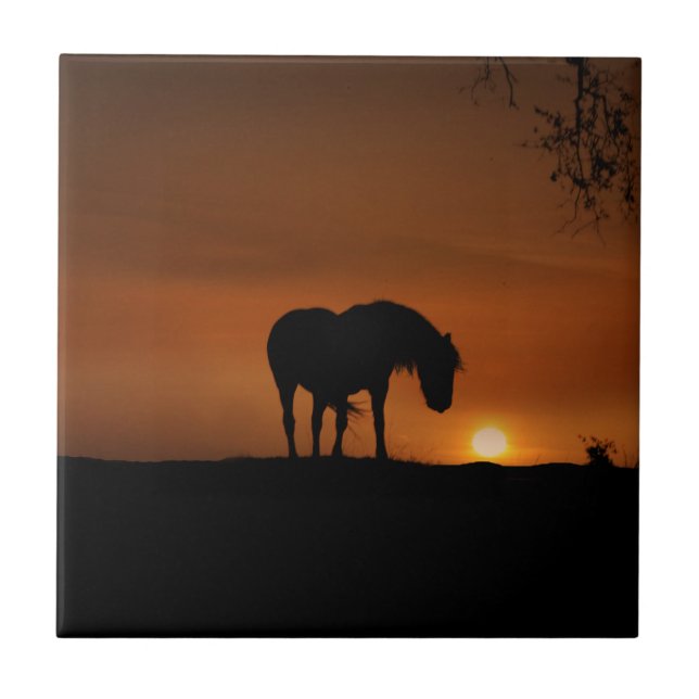 Beautiful Horse and Southwestern Sunset Ceramic Tile (Front)