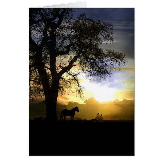 Beautiful Horse and Sunset Thinking of You Card (Front)