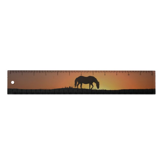 Beautiful Horse Art Ruler with Numbers (Front)