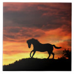 Beautiful Horse Art Tile<br><div class="desc">This is a beautiful Equine art tile with a silhouetted horse against a southwestern sky.</div>