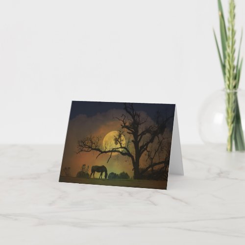 Beautiful Horse Blank Note Card